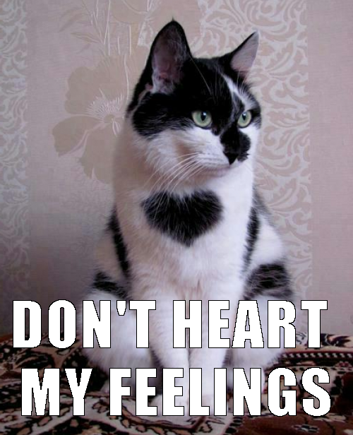 cat feels heart