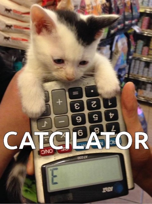 Many options for your weekend