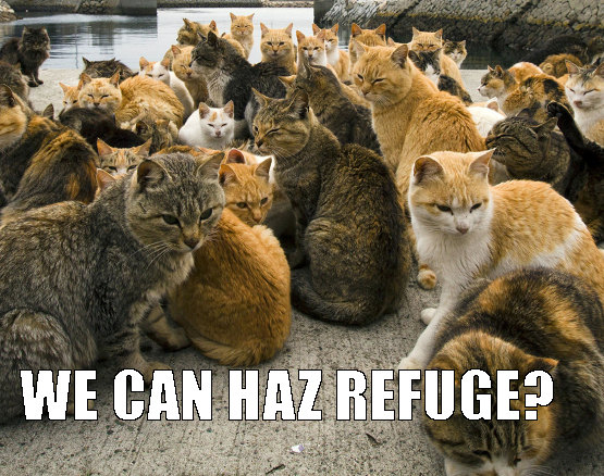 Happy Island Maze N’ Cats