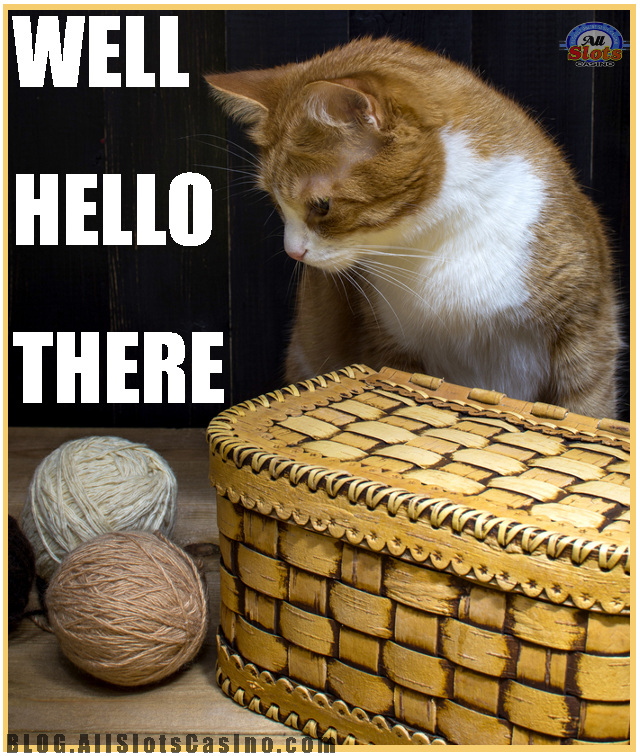 Cats, casinos and Innovation